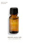 Ginger Oil 100% Pure Essential Oil 10 ml
