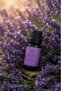 Solaén Natural Lavender Essential Oil 10 ml Steam Distillation Natural Oil - 3