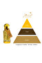 Amber Oud 12 ml Concentrated Perfume Oil - 4
