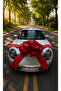 Red Felt Ribbon for Vehicles, Car Ribbon, Gift Car Bow - 5