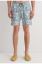 M0911894 Swim Shorts Men's Shorts Green