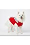 Cat Dog Clothes T-shirt with Scarf