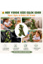 XL 55 cm T-Rex Dinosaur Plush Toy Soft Fabric Large Size Sleeping Companion Children's Gift Premium - 5