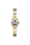 Rml5024-05 Women's Wristwatch - 4