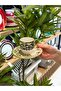 6-Person Porcelain Coffee Cup Verde - 2