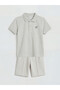Lcw Kids Gray Dinosaur Printed Boy's T-Shirt and Shorts