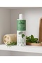 Rosemary Extract and Medical Mint Shower Gel - 400 ml (Alcohol/Sls/Sles Free) - 4