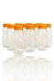 Bearish Pet Bottle School Picnic Juice Smoothie Detox Ginger Transparent Plastic Empty Beverage Leakproof - 3