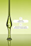 Bay Leaf Oil 10ml - 3