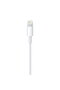 Cablu de date Lightning - USB, 1m - 3
