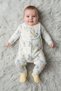 Baby Toddlers Girl 3 Pieces Graphic Print Long Sleeve Rompers With Bib Set, Multicolor