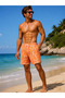Men's Swim Shorts with Side Zipper Pockets and Inner Mesh Lining, Men's Swimwear Shorts - 2