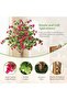 6FT (180 cm) Artificial Bougainvillea Tree with Pink Flowers, Potted Faux Flower Tree for Decor - 2