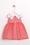 My Little Girl's Collar Detailed Heart Embroidery Chiffon Tulle Spring Dress - Red