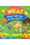 What Helps Bats See In The Dark?