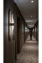 مصباح حائط LED من ماتريكس ميلودي - تصميم عصري وأنيق، هيكل فضي، إضاءة LED بيضاء - 3