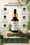 Juniper Oil 20 ml Aromatic Care Oil Massage Ambient Fragrance for Hair, Skin and Premium Daily Care - 5