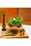 Salt And Pepper Shaker From Atheela - 3