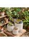 Modern Ceramic Flower Pot Set of 3 Matte White Geometric Planter Pots with Drainage Holes for Indoor Plants, Succulents & Home Decor - 6