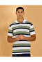 Men Green and Black And Striped Polo Shirt