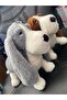 Cute Dog with Long Ears - 3