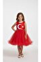 Moon and Star Fluffy Children's Dress