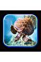 Ocean Projector Torch - 7