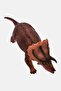 Triceratops Figure - 2