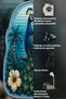 Sdt Special Cut Tropical Peacock Patterned Light Blue Woven Base Decorative Carpet Sdt3017 - 6
