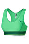 Stargazer Women's Sports Bra Green