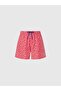 Allover Volley Men's Swim Shorts 40cm