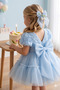 Girl's Princess Dress with Buckle, 3D Roses, Layered Tulle, Bow Detail, Birthday Party Wedding Special Occasion Dress, Ages 2-5 - 3