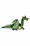 Green Dragon Plush 36 cm - 3
