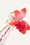 Women's Floral Fish Figured Charm H6411Axns - 3