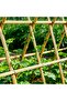 FFD 2pcs Natural Bamboo Plant Stakes - Durable Garden Support Poles for Climbing Plants - 6