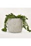 Kaylee Cement Planter 26x26.5cm- Grey