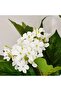 Snowflower Artificial Flower Stem 20.32x20.32x99.06cm- Green - 2