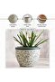 Hamilton Ceramic Planter 52x52x40cm - Blue - 5