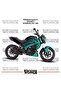 Bajaj Dominar 250-400 Compatible Fairing Sticker Dual Color Engine Fairing Model Ready Kit High Quality