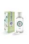 Roger & Gallet Shiso For Unisex Eau Parfumee 100 ml - 2