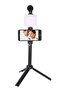 W020 AY-49T Flexible Phone Tripod with Microphone Filling Light Selfie Vlogging Kit
