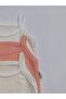 3-Piece Rope Strap Ecru-Salmon Color 100% Cotton Baby Bodysuit with Snap Fasteners - 4
