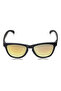 Wayfarer Sunglasses