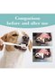 Dog Dental Care Set Oral Hygiene Kit Beef Flavor 100g From Varmacy - 6