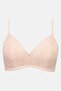 Women 3 Pieces Textured Padded Non-Wired Bra, Multicolor - 7