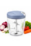 Manual Vegetable Chopper | 5 Stainless Steel Blades Hand Pull Food Processor | Onion Garlic Fruit Cutter | BPA Free Kitchen Tool