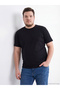 Original %100 Cotton Regular Fit Basic T-Shirt - 5