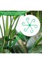 12 plant stem supports, 4 sizes, flower stem hooks, pergola, indoor climbing frame, suitable for various plants (green) - 3