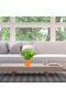 Decorative plastic planters, 5.5-inch planters, 3-pack PP pots, with drainage holes and trays, suitable for indoor plants and flowers (orange). - 4