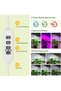 Plant grow light (black, 19x14x2 cm), LED liftable angel ring full spectrum red/blue warm light for succulents and flowers. - 3